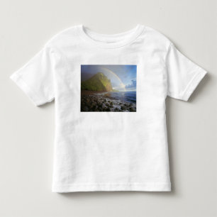 Double rainbow over the cliffs of the North Toddler T-Shirt