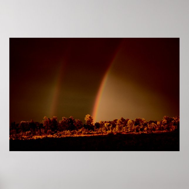 Double Rainbow Wall Poster (Front)