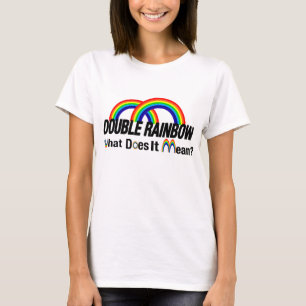 double rainbow what does it mean rb T-Shirt
