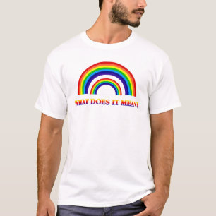 Double Rainbow. What does it mean? T-Shirt