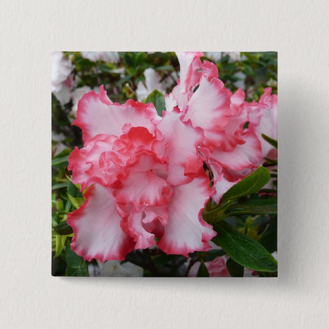 Double Red and White Azaleas Spring Floral 15 Cm Square Badge (Front)