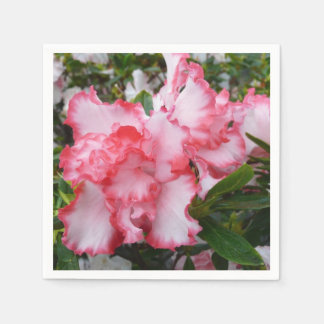 Double Red and White Azaleas Spring Floral Napkin