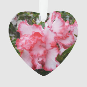 Double Red and White Azaleas Spring Floral Ornament