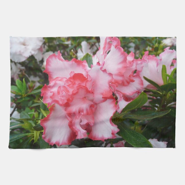 Double Red and White Azaleas Spring Floral Tea Towel (Horizontal)