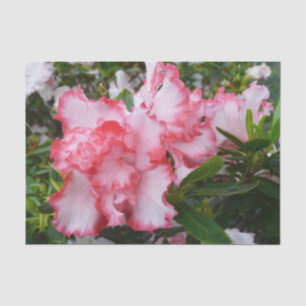 Double Red and White Azaleas Spring Floral Tissue Paper