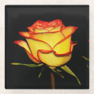 Double Red and Yellow Rose Bloom Glass Coaster