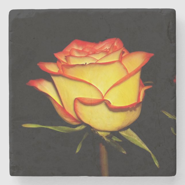 Double Red and Yellow Rose Bloom Stone Coaster (Front)