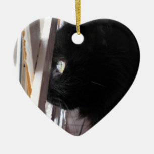 Double Sided Ornament featuring Smoky