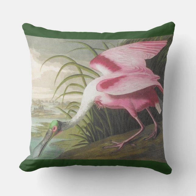 Double-sided Pink Green Audubon Spoonbill Bird Cushion (Front)