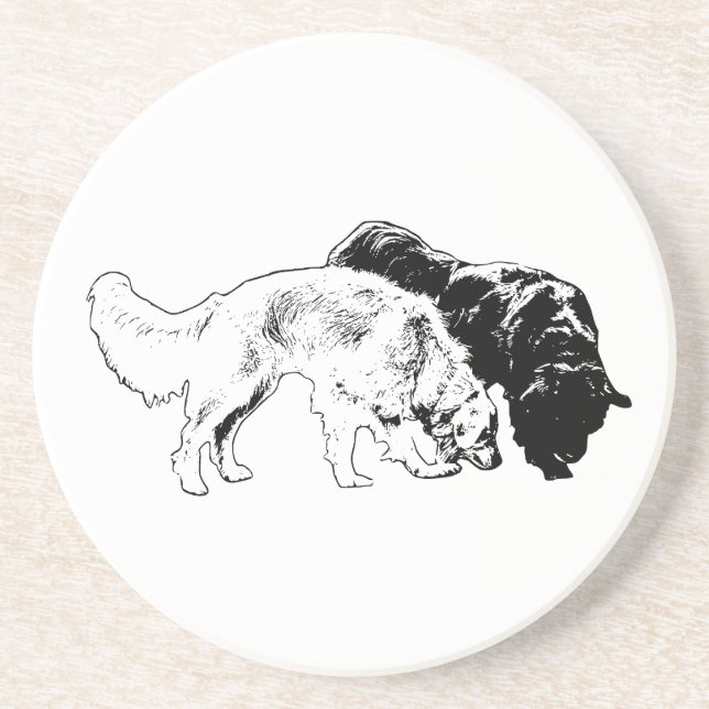 Double Stride at Nightfall Coaster (Front)