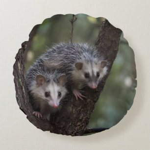 Double Trouble in the Canopy: Twin Possums Round Cushion