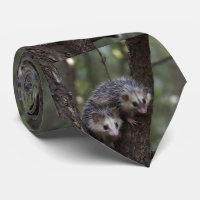 Double Trouble in the Canopy: Twin Possums