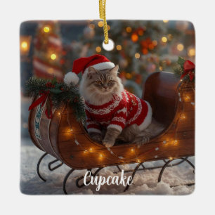 Double Trouble Persian Cat Christmas Personalised Ceramic Ornament