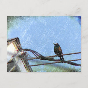Double Vision Postcard