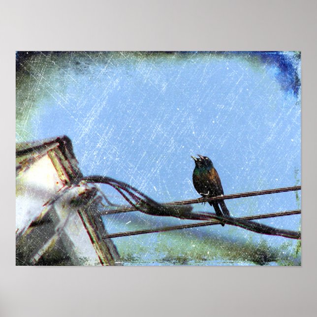 Double Vision Poster (Front)