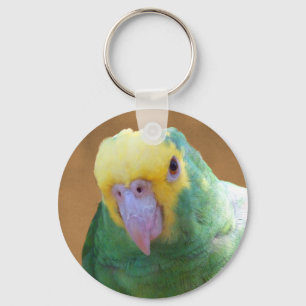 Double Yellow Headed Amazon Key Ring