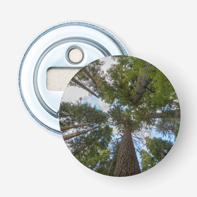Douglas Fir tree canopy Bottle Opener (Front)