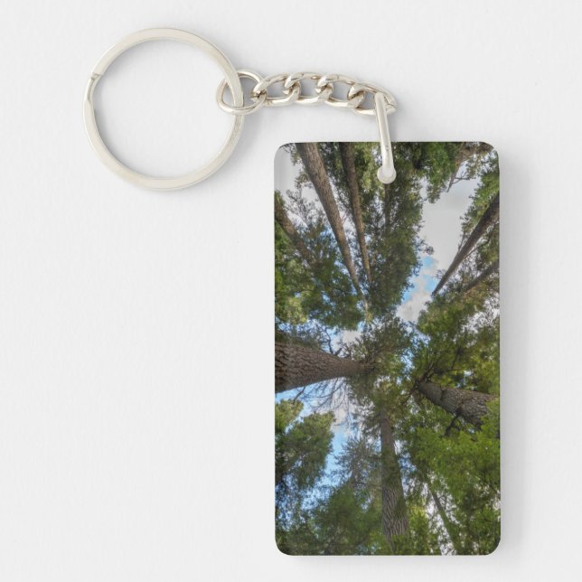 Douglas Fir tree canopy Key Ring (Front)