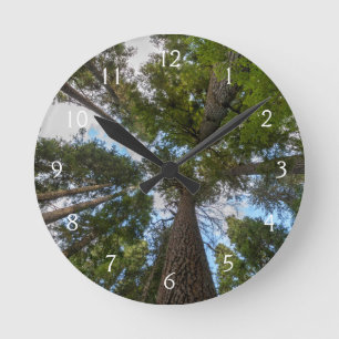 Douglas Fir tree canopy Round Clock