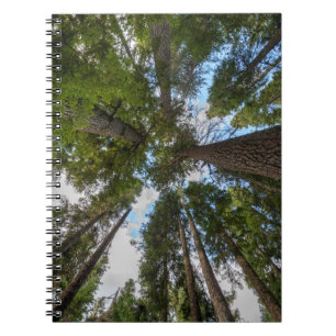 Douglas Fir tree canopy Spiral Notebook