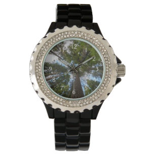 Douglas Fir tree canopy Watch