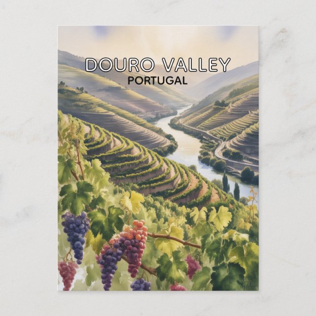 Douro Valley Portugal Postcard (Front)