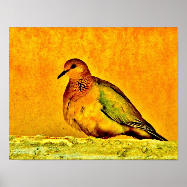 Dove Beauty Poster (Front)