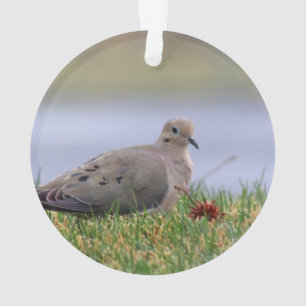 Dove Bird Ornament