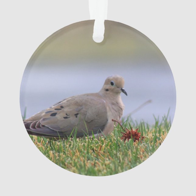 Dove Bird Ornament (Back)