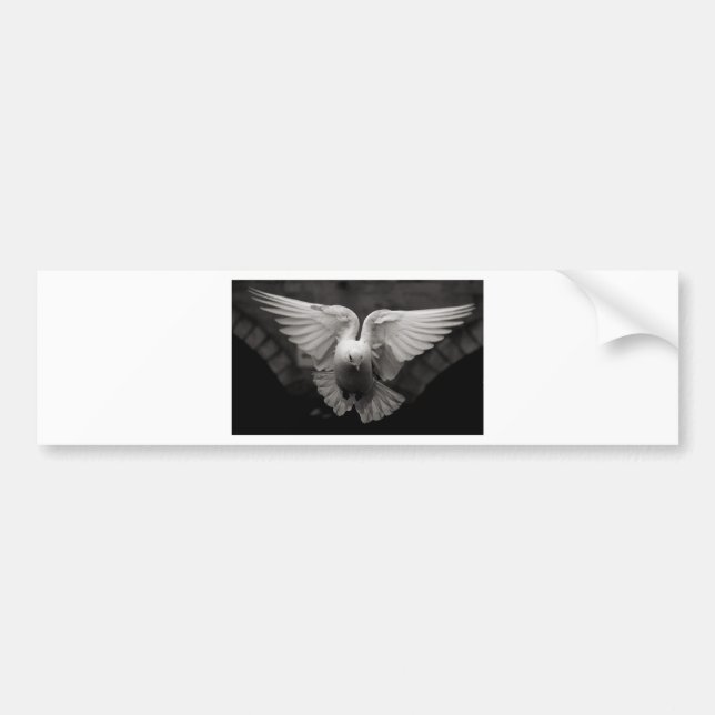 Dove Bumper Sticker (Front)