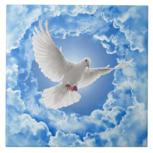 Dove Ceramic Tile