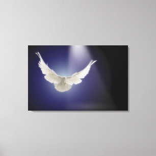 Dove flying through beam of light canvas print