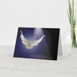 Dove flying through beam of light card