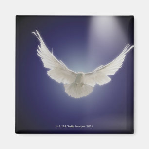 Dove flying through beam of light magnet