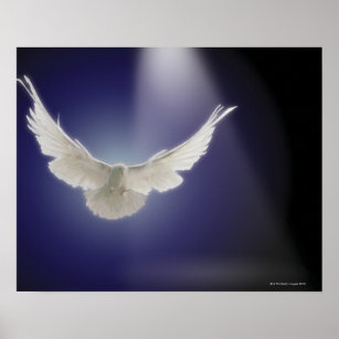 Dove flying through beam of light poster