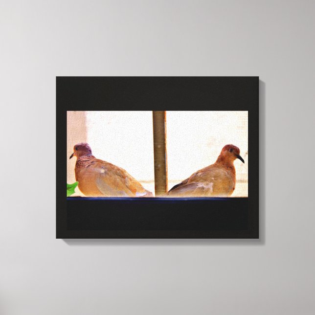 Dove Friends Canvas Print (Front)