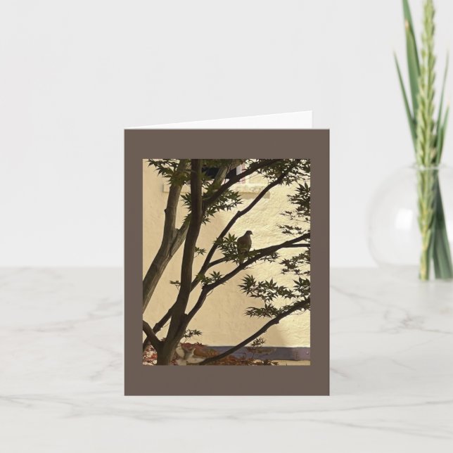 dove is a symphony  card (Front)