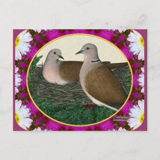 Dove Nest and Flowers Postcard