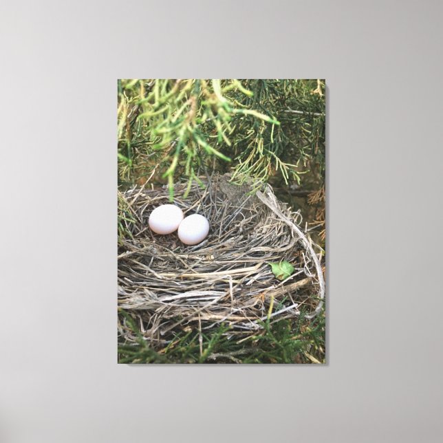 Dove Nest on canvas (Front)