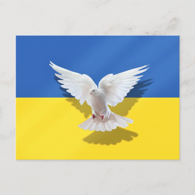 Dove of Peace - Flag of Ukraine - Freedom - Peace  Postcard (Front)