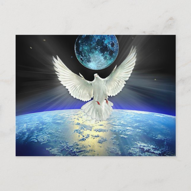 Dove of Peace over Planet Earth Sunrise Postcard (Front)