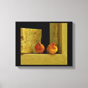 Dove Pair Canvas Print