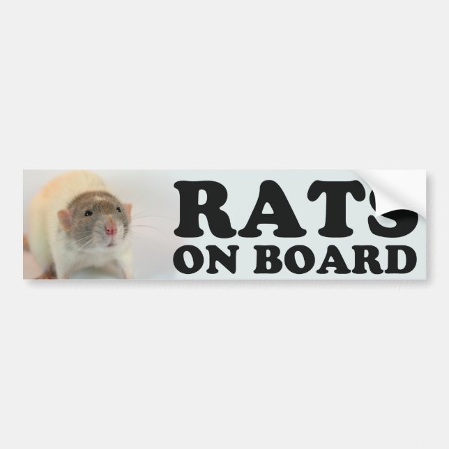 (Dove) Rats on Board Bumper Sticker (Front)