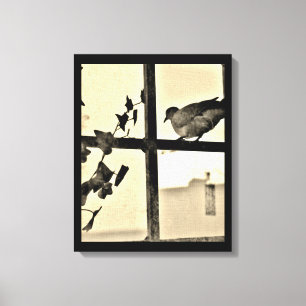 Dove Resting Canvas Print