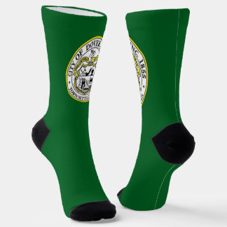 Dover (New Hampshire) city flag Socks