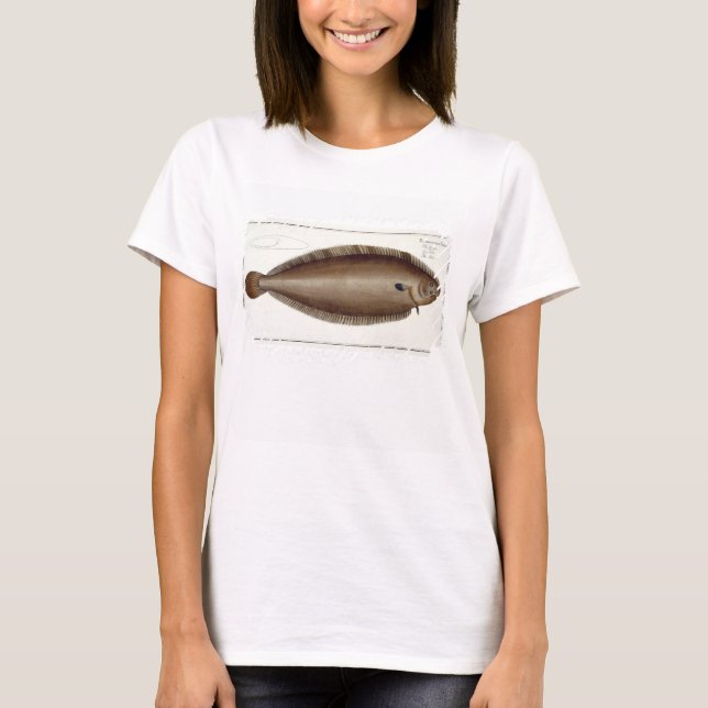 Dover Sole (Solea Solaea) plate XLV from 'Ichthyol T-Shirt (Front)