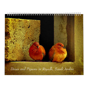 Doves and Pigeons Calendar