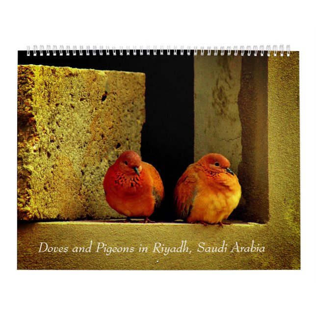 Doves and Pigeons Calendar (Cover)
