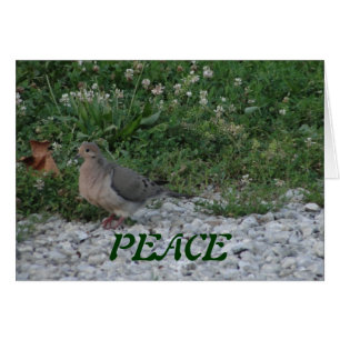 Doves, Colossians 3:15