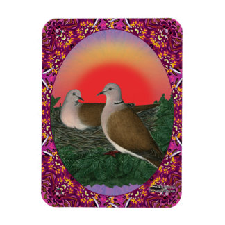 Doves Framed Magnet